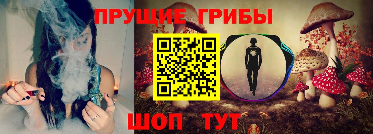 Псилоцибиновые грибы прущие грибы Томск